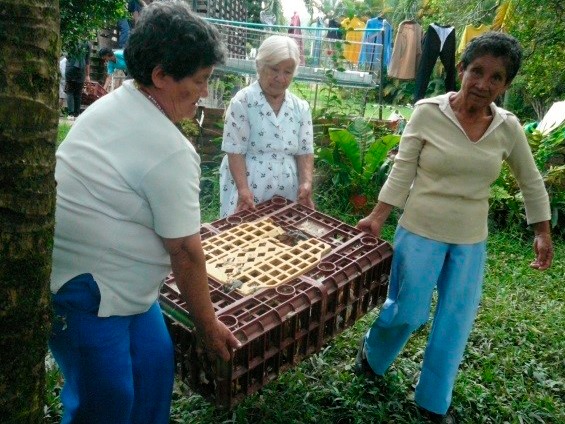 Imagen